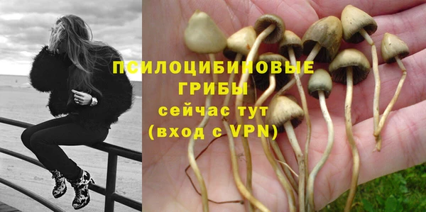 таблы Краснослободск