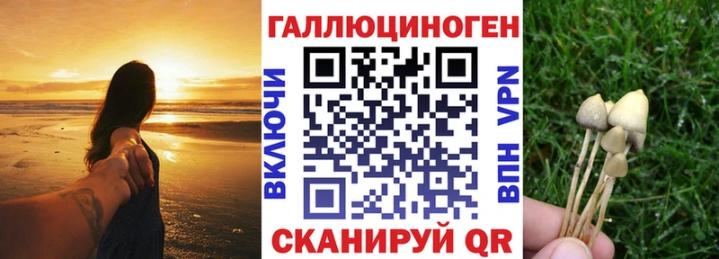 Псилоцибиновые грибы Magic Shrooms  Новочеркасск 